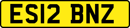ES12BNZ