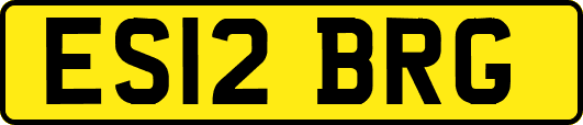 ES12BRG