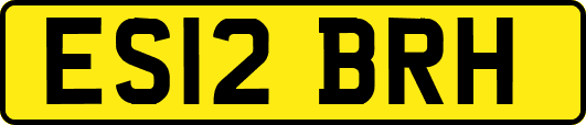 ES12BRH