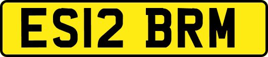 ES12BRM