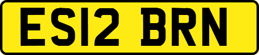 ES12BRN