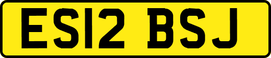 ES12BSJ