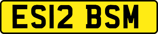 ES12BSM