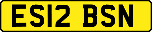ES12BSN