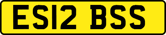 ES12BSS