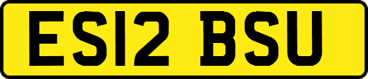 ES12BSU