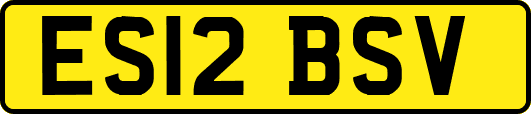 ES12BSV