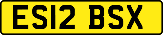 ES12BSX