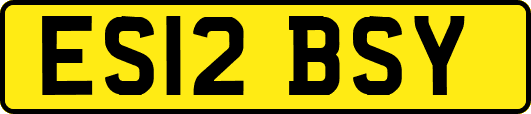 ES12BSY