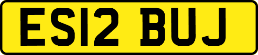 ES12BUJ