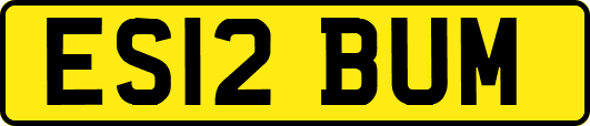 ES12BUM