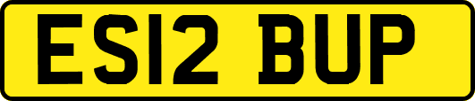 ES12BUP