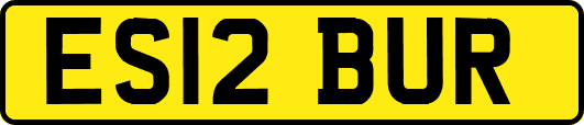 ES12BUR