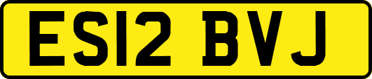ES12BVJ
