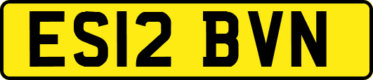 ES12BVN