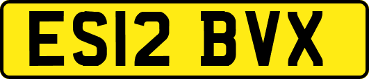 ES12BVX