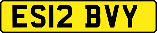 ES12BVY