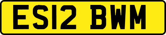ES12BWM