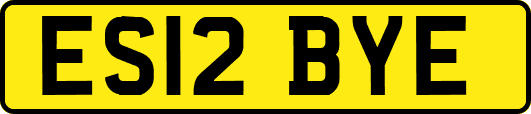 ES12BYE