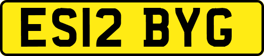 ES12BYG