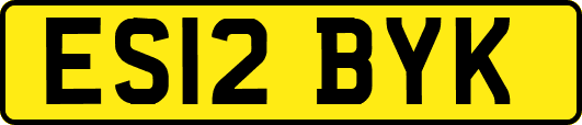 ES12BYK