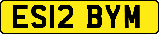 ES12BYM