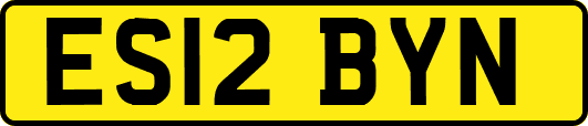 ES12BYN