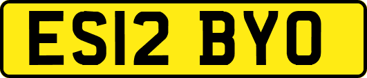 ES12BYO