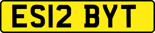 ES12BYT