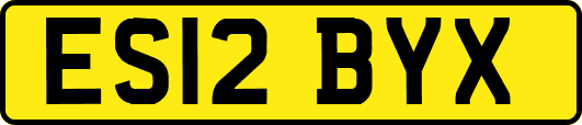 ES12BYX