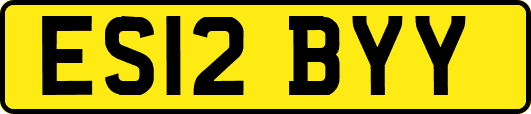 ES12BYY