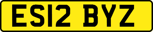ES12BYZ