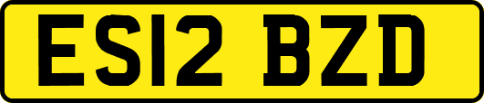 ES12BZD
