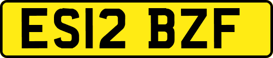 ES12BZF