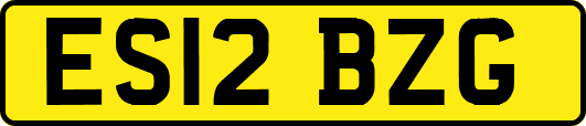 ES12BZG