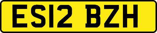 ES12BZH
