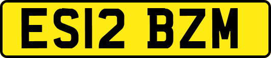 ES12BZM