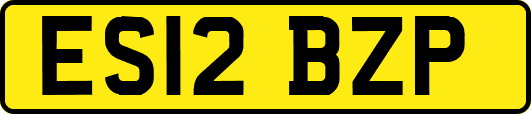 ES12BZP