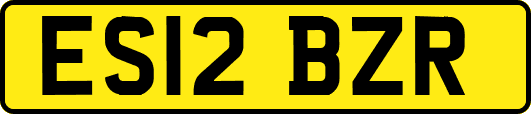 ES12BZR