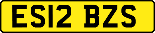 ES12BZS