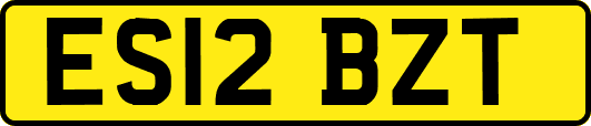 ES12BZT