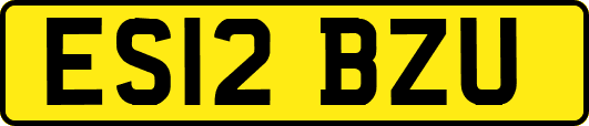 ES12BZU