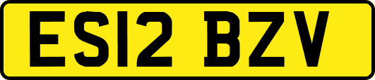 ES12BZV