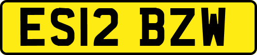 ES12BZW