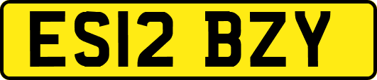 ES12BZY