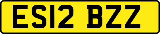 ES12BZZ