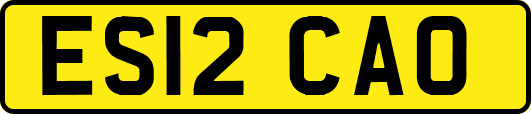 ES12CAO