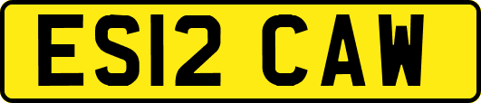ES12CAW