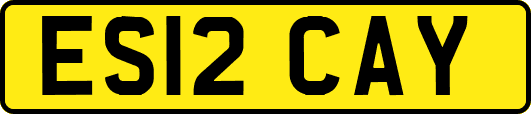 ES12CAY