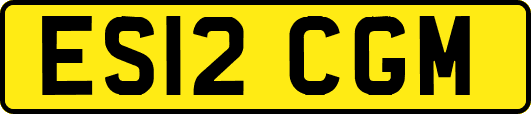 ES12CGM
